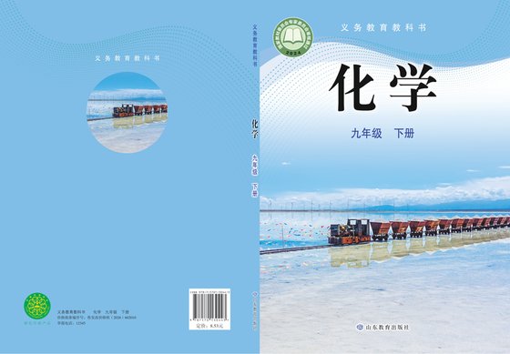 2024版 初中化学 鲁教版 九年级下册（电子课本）