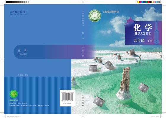2024版 初中化学 北京版 九年级下册（电子课本）