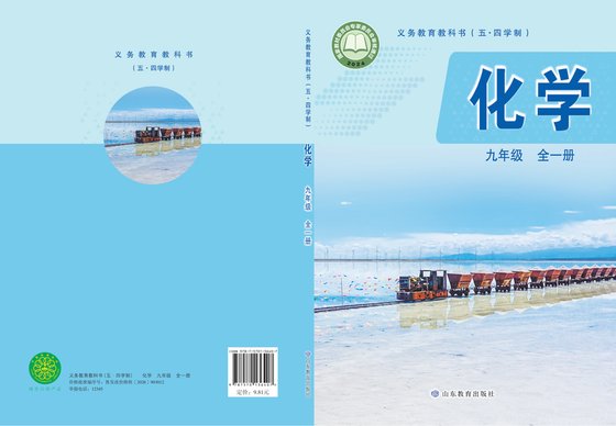 2024版 初中（五•四学制）化学 鲁教版 五·四学制 九年级全一册（电子课本）