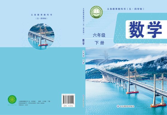 2024版 初中（五四学制）数学 鲁教版 五四学制 六年级下册（电子课本）